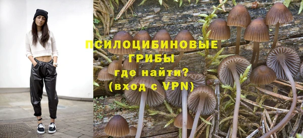 метадон Осташков