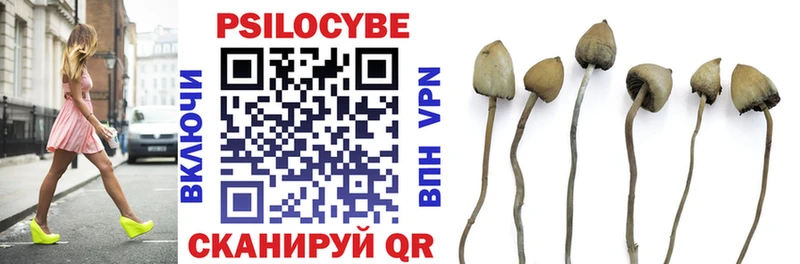 купить наркотики сайты Удачный Псилоцибиновые грибы прущие грибы